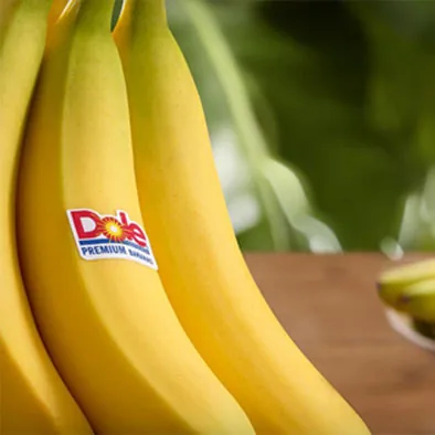 Banana plantations in the lowlands of Ecuador