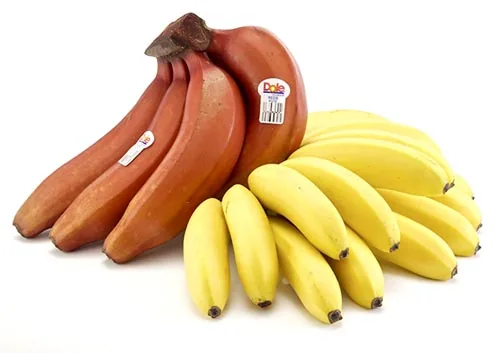 Organic Ecuadorian DOLE bananas for export